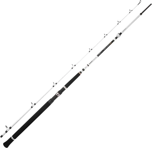 Spro Salty Beast Nano Heavy Jig BC Sea Fishing Rod 240cm 250g 2pc