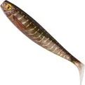 Fox Rage Pro Shad Natural Classics II Softbait 10cm Super Natural Pike