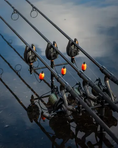 Fox EOS X Rute 3.66m 3.25lb