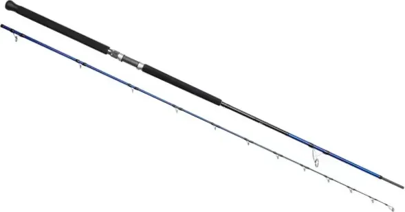 Savage Gear SGS6 Shore Jigging Spinnrute 3.05m 70–180g 410g Moderate Fast