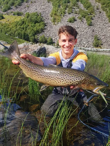 Savage Gear Seeker ISP Crankbait 9.8cm 0.5–1.5m 23g Green/Silver