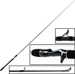 Bullseye Dentist Cast 2.20m 45–120g 115cm Progressive