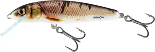Salmo Minnow Twitchbait 7cm 8g Wounded Dace