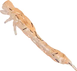 Westin Odonata Ned Creaturebait 6,5cm 2g UV Shrimp