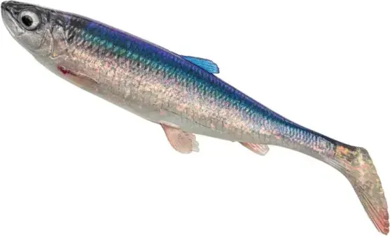 Savage Gear 3D Herring Shad 15cm 23g Herring