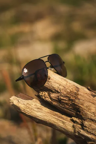 Black Cat Flyer Polarisationsbrille Brown Metal Pilot