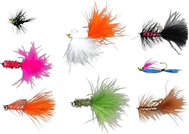 Balzer Edition Fly Regenbogenforellen Sortiment Lure Kit 8 Pieces Fliegen
