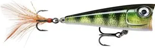 Rapala X-Light Pop 4cm 4.5g Live Perch