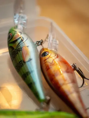 Salmo Rattlin' Executor SDR 7cm 1.5–3.9m 8g Hot Perch