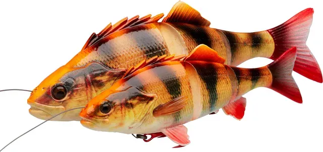 Savage Gear D Line Thru Perch 23cm 145g Albino