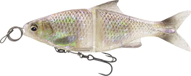 Savage Gear 3D Glide Roach 23cm 170g Ghost Roach