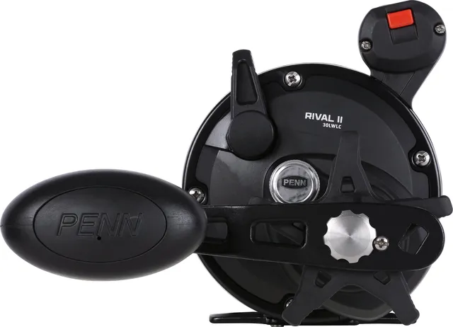 PENN Rival II Trollingrolle 30 3.9:1 7kg Rechts