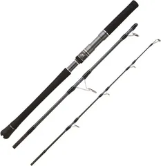 Hearty Rise Skywalker Jigging Spin Spinning Rod 1.63m 320g 3pc