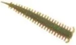 Berkley Gulp Saltwater Sandworm 14pc 5cm Camo