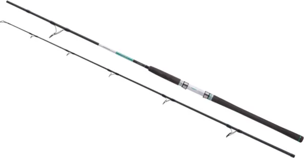 Balzer 71 North Power Pilk Meeresangelrute 2.45m 100–275g 2pc
