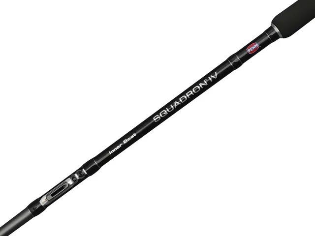 Penn Squadron IV Inner Boat Baitcaster-Rute 2.10m 30–50g Fast