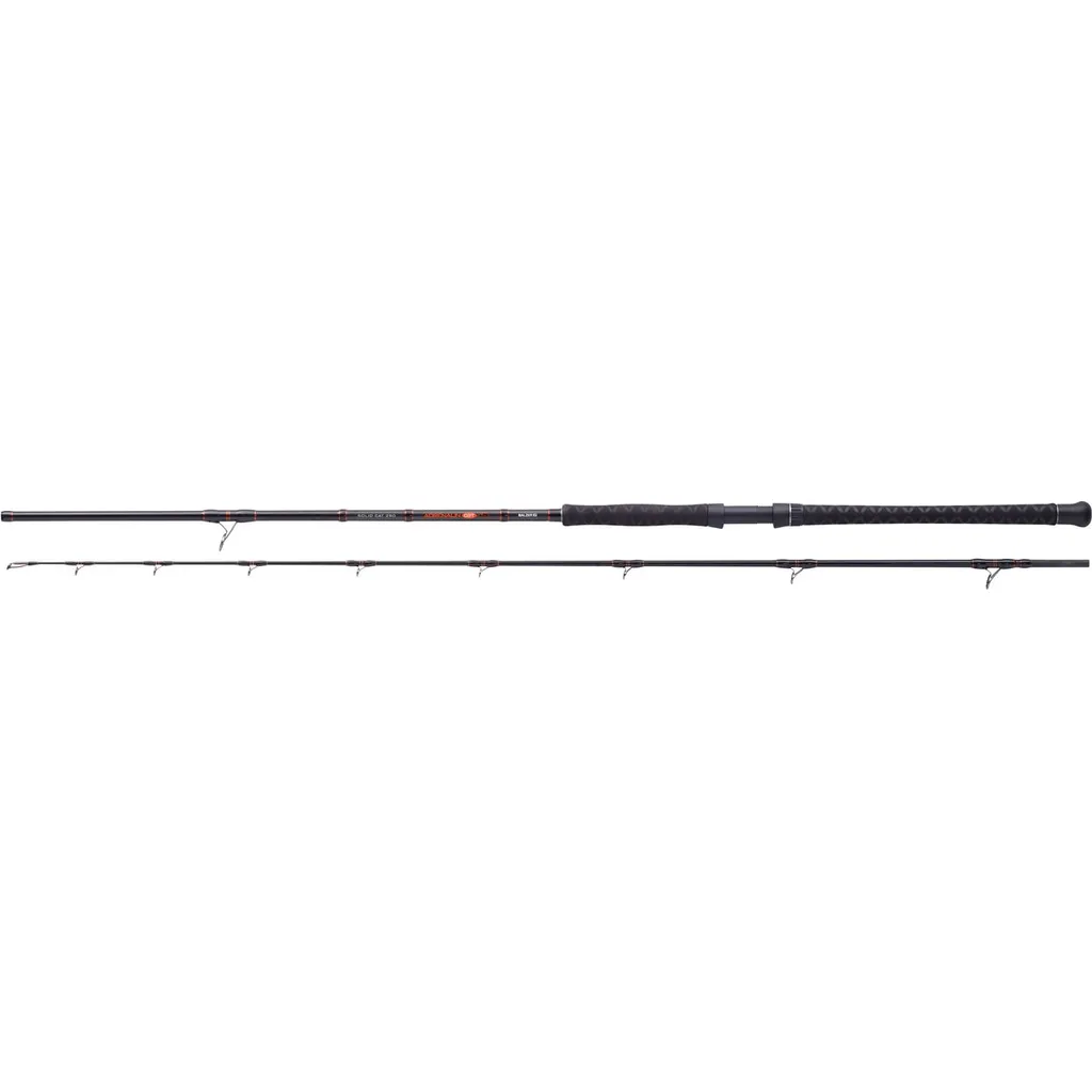 Balzer Solid Cat Wallerrute 3.1m 450g 2pc