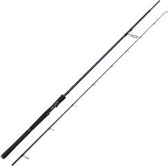 Westin W2 Powerstick Meeresrute 2.51m 10–50g 2pc