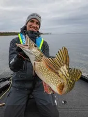 Savage Gear 3D Whitefish Shad Softbaits 23cm 94g Zander