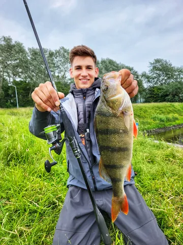 Savage Gear Revenge SG8 Medium Game Spinning Rod 2.25m 7–36g Extra Fast