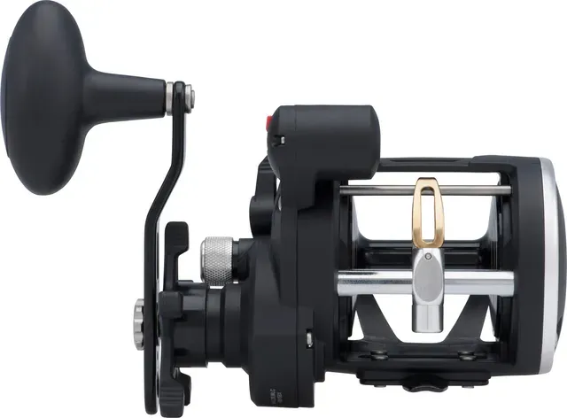 Penn Rival Level Wind 20 LC 5.1:1 541g