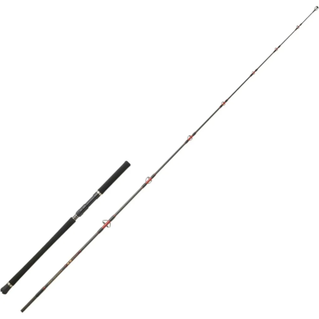 Hearty Rise Gyoluck Spin Tuna Meeresrute 2.5m 30–120g 2pc
