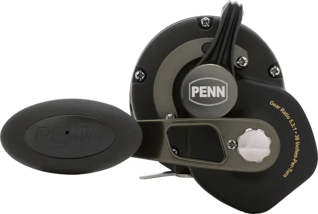 Penn Squall II 25 13.6kg 535g 5.3:1