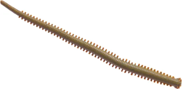 Berkley Gulp Saltwater Isome Futomi Softbait 10cm Worm Natural