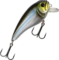 Westin Fat Bite Crankbait 5.5cm 0.3–0.8m 8g
