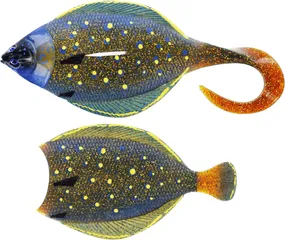 Westin Flat Matt Jig 85g 13cm Peacock Flounder
