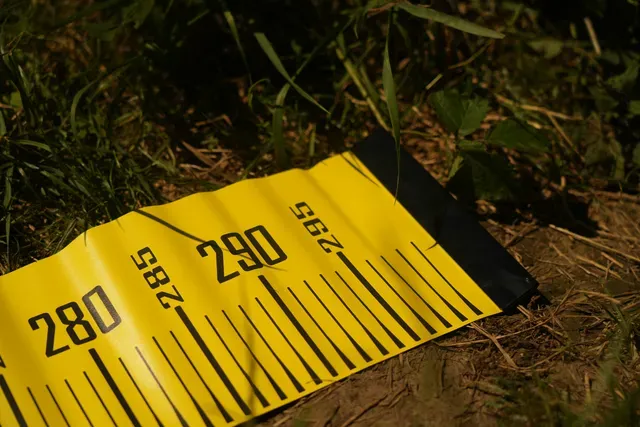 Black Cat Cat Measure 300cm Maßband