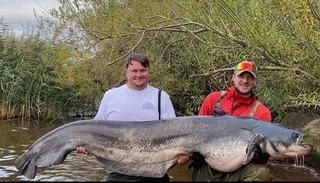 Aktiv Vertical Wels Combo