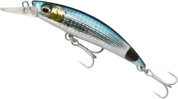 Savage Gear Gravity Runner 10cm 2–10m 37g Saddled Bream