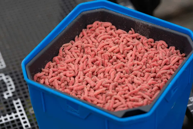 Preston Madensieb 2pt