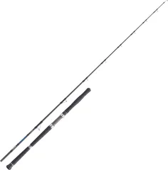 Balzer Adrenalin Heavy 700 Meeresrute 2.15m 200–700g 2pc