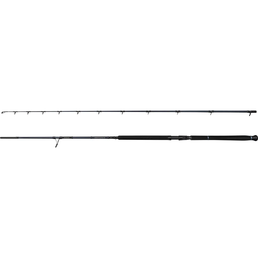 Savage Gear DEFIANCE SG2 Shore Jig Meeresrute 2.9m 50–120g 2pc