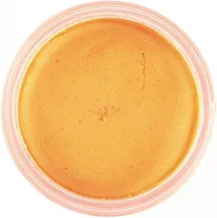 Berkley PowerBait Forellenteig Fluoreszenz Orange 50g
