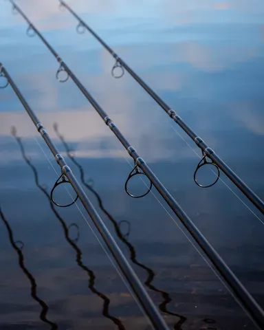 Fox EOS X Rute 3.66m 3.25lb