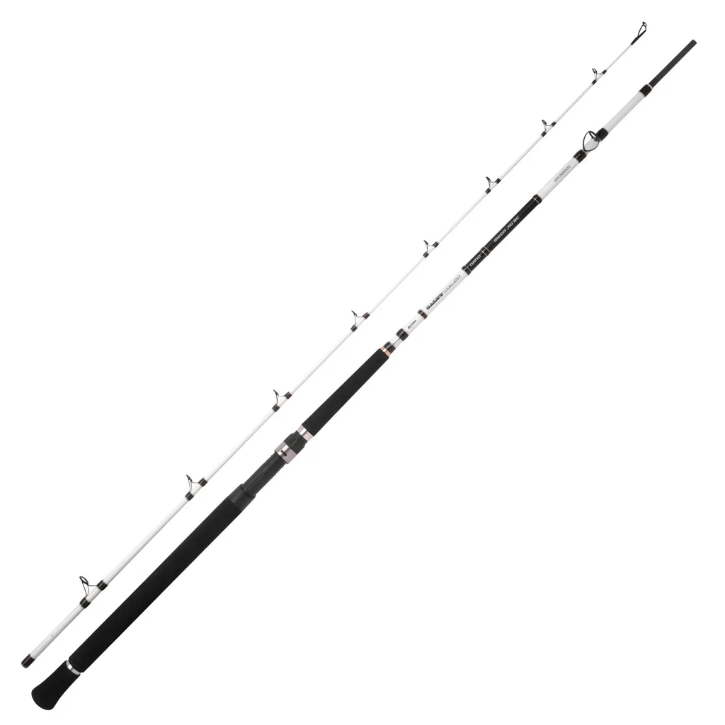 Spro Salty Beast Nano Mega Jig BC Meeresrute 2.4m 450g 2pc