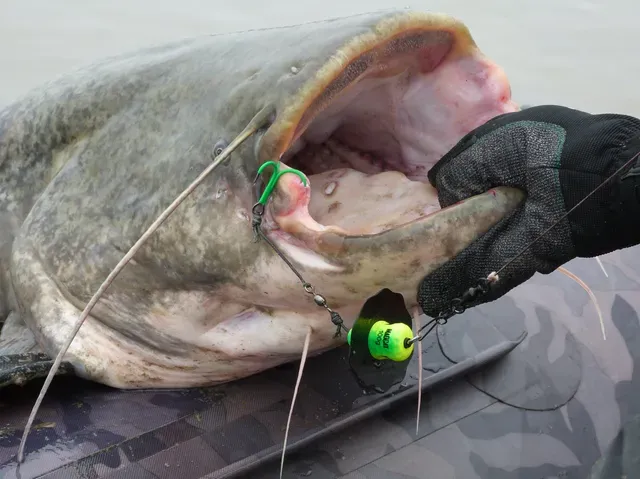 Madcat A-Static Silent Teaser 18.5cm 200g Black