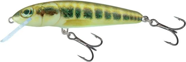 Salmo Minnow 7cm 1.0–1.5m 6g