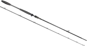 Westin W10 Powercast-T Baitcaster-Rute 2.4m 40–150g 135cm XXH