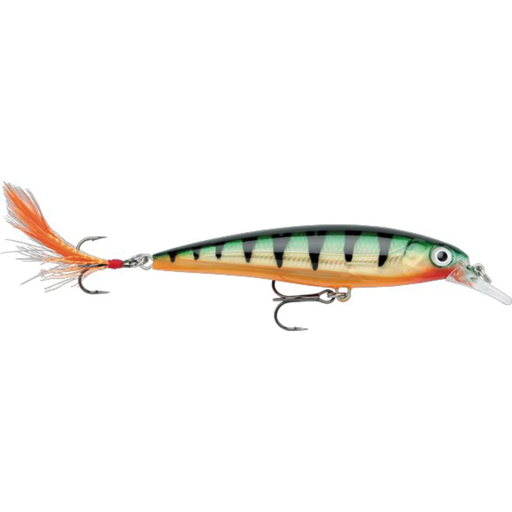 Rapala X-Rap Wobbler XR10 10cm 13g P