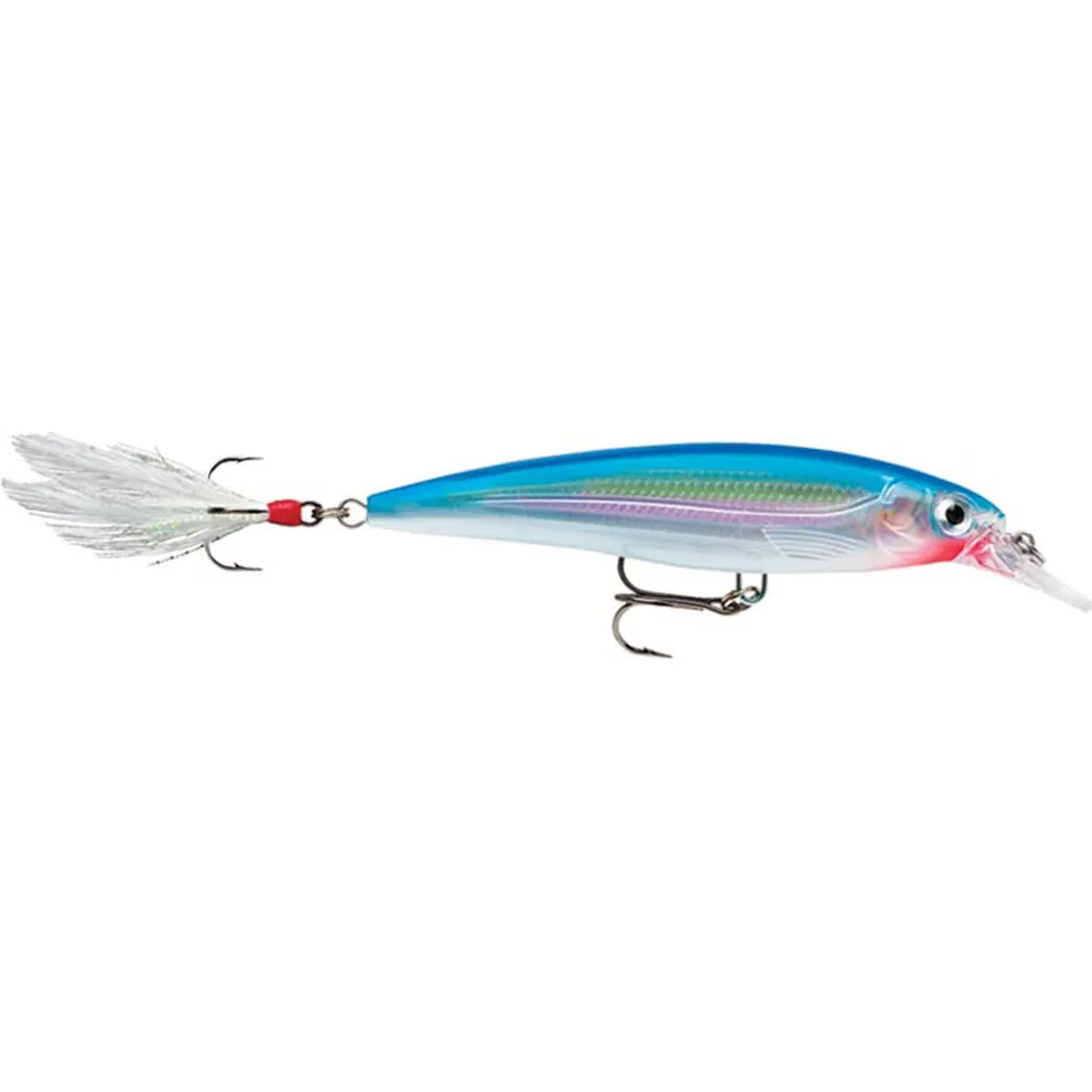Rapala X-Rap Wobbler XR10 10cm 13g SB