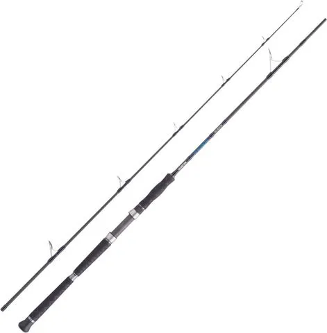 Balzer Adrenalin Spinnrute Medium S 250 2.40m 90–250g 340g IM-12 Carbon
