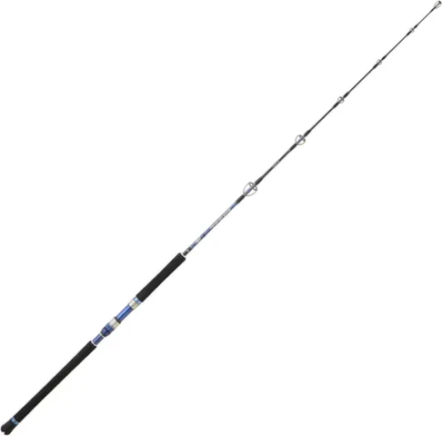 Hearty Rise Monster Game Jigging Meeresrute 1.62m 100–300g 1pc