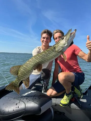 Savage Gear Revenge SG8 Medium Game Spinnrute 2.25m 7–36g 127g 2pc