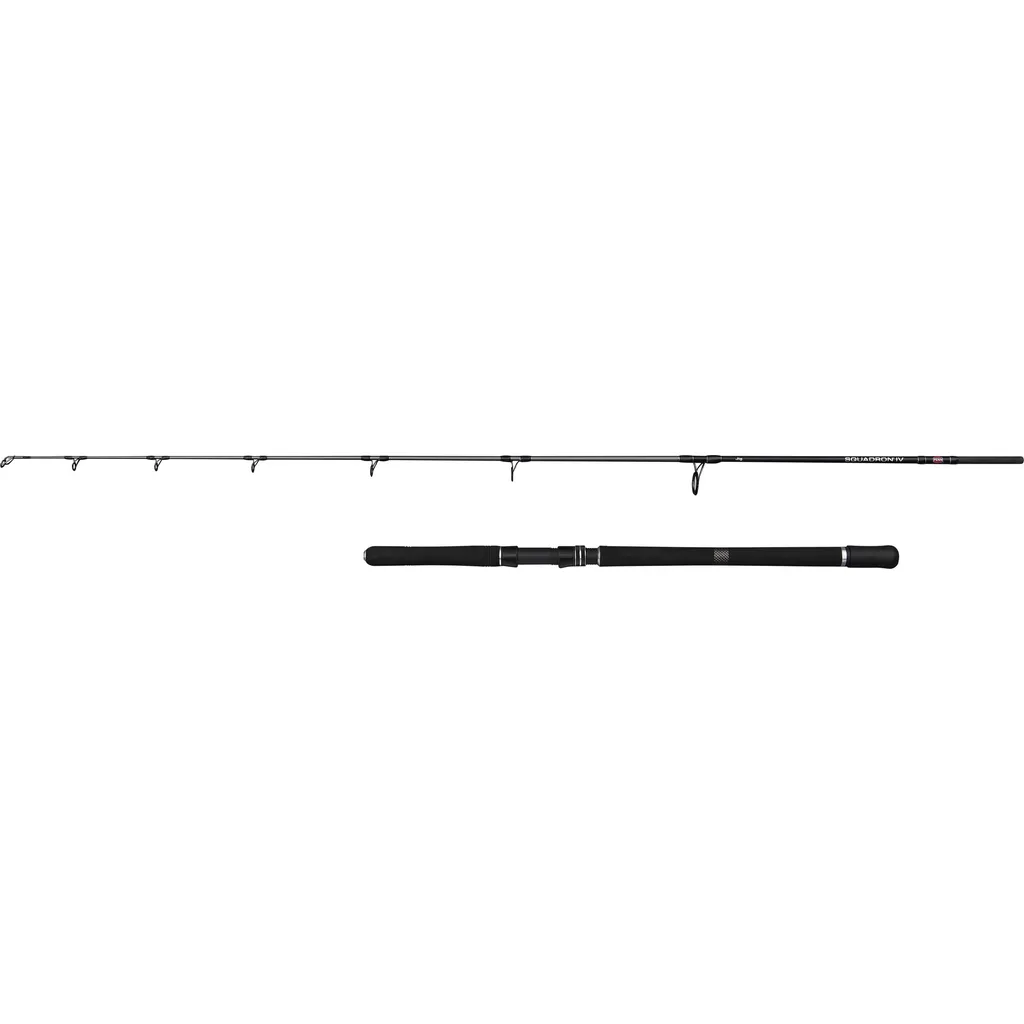 PENN SQUADRON IV Jig Meeresrute 2.04m 200–400g 2pc