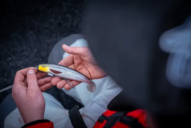 Fox Rage Pro Shad Loaded 18cm 46g Silver Halo