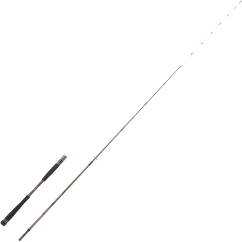 Hearty Rise Shiga Tenya Spin Meeresrute 2.05m 30–60g 2pc